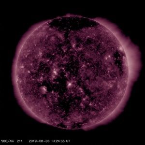 Meet your Posher, Jack